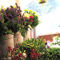 Tussie Mussie Flowers in Guernsey