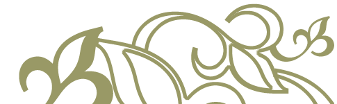 Tussie Mussie Flowers